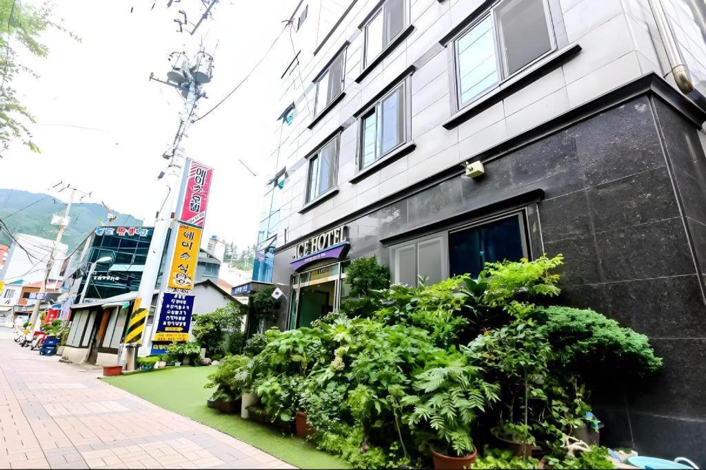 Ace Hotel Ulleung Ngoại thất bức ảnh