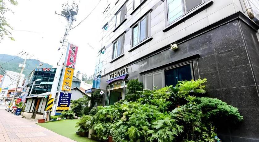 Ace Hotel Ulleung Ngoại thất bức ảnh